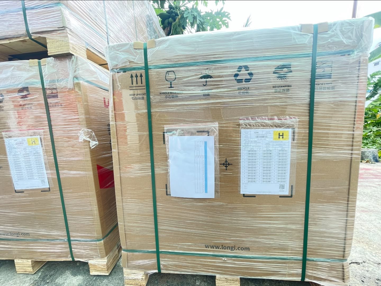 solar-trang-an-chinh-thuc-ve-container-tam-pin-longi-620w-loai-a-2-mat-kinh-tong-kho-gia-tot-nhat-khu-vuc